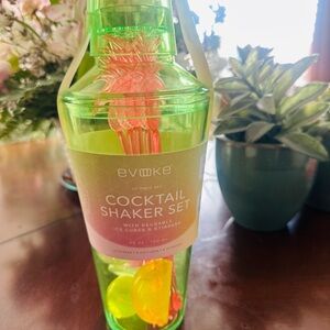 Evoke Green Cocktail Shaker Set with Reusable Ice Cubes & Stirrers